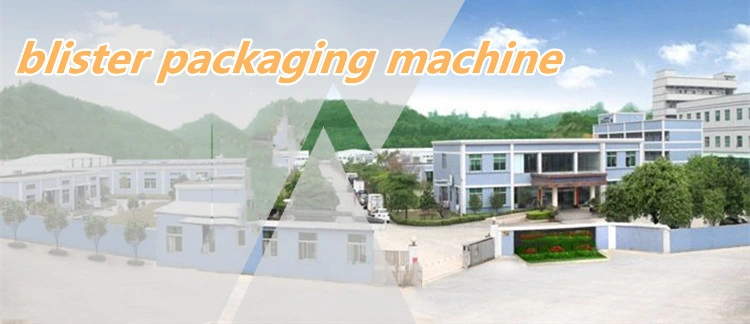 Top Quality Independent Sealing Ig-25/50 Granule Quantitative Packaging Machine
