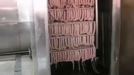 Sausage Meat Smokehouse Oven Smoker
