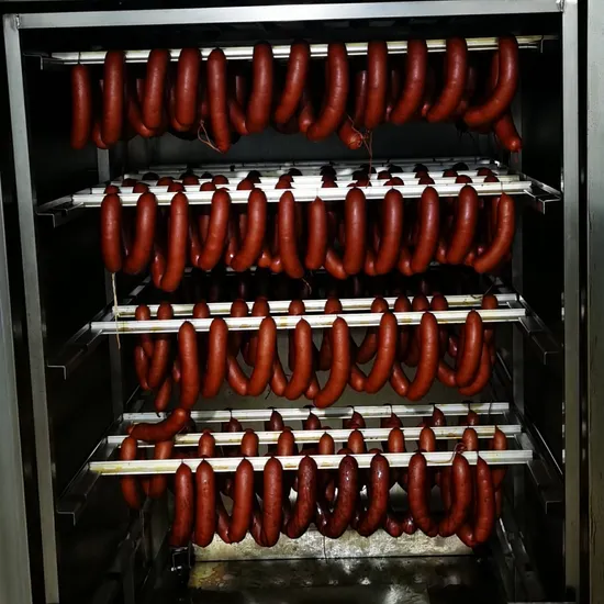 Professional Fish Smoker Oven Electric Combi Oven Smoker for Sausage