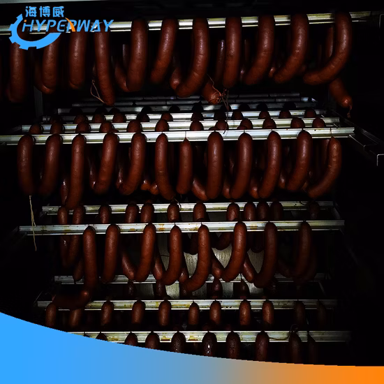 Professional Fish Smoker Oven Electric Combi Oven Smoker for Sausage