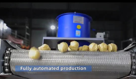 Soya Chunks Protein Processing Machinery Texture Soy Protein Meat Extruder Dry Soybean Manufacturing Making Machine