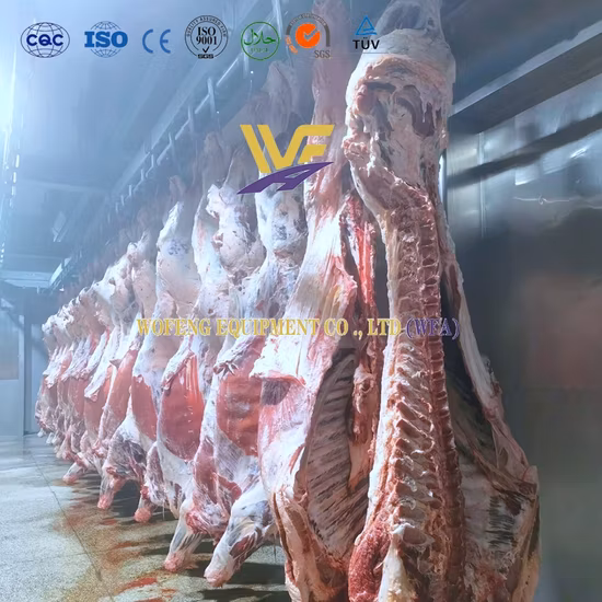 Slaughterhouse Cattle Beef Slaughtering Equipment Meat Processing Machine for Sale
